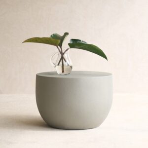 Bonnie Coffee Table | Concrete Grey 60cm