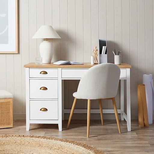 Zolla Desk